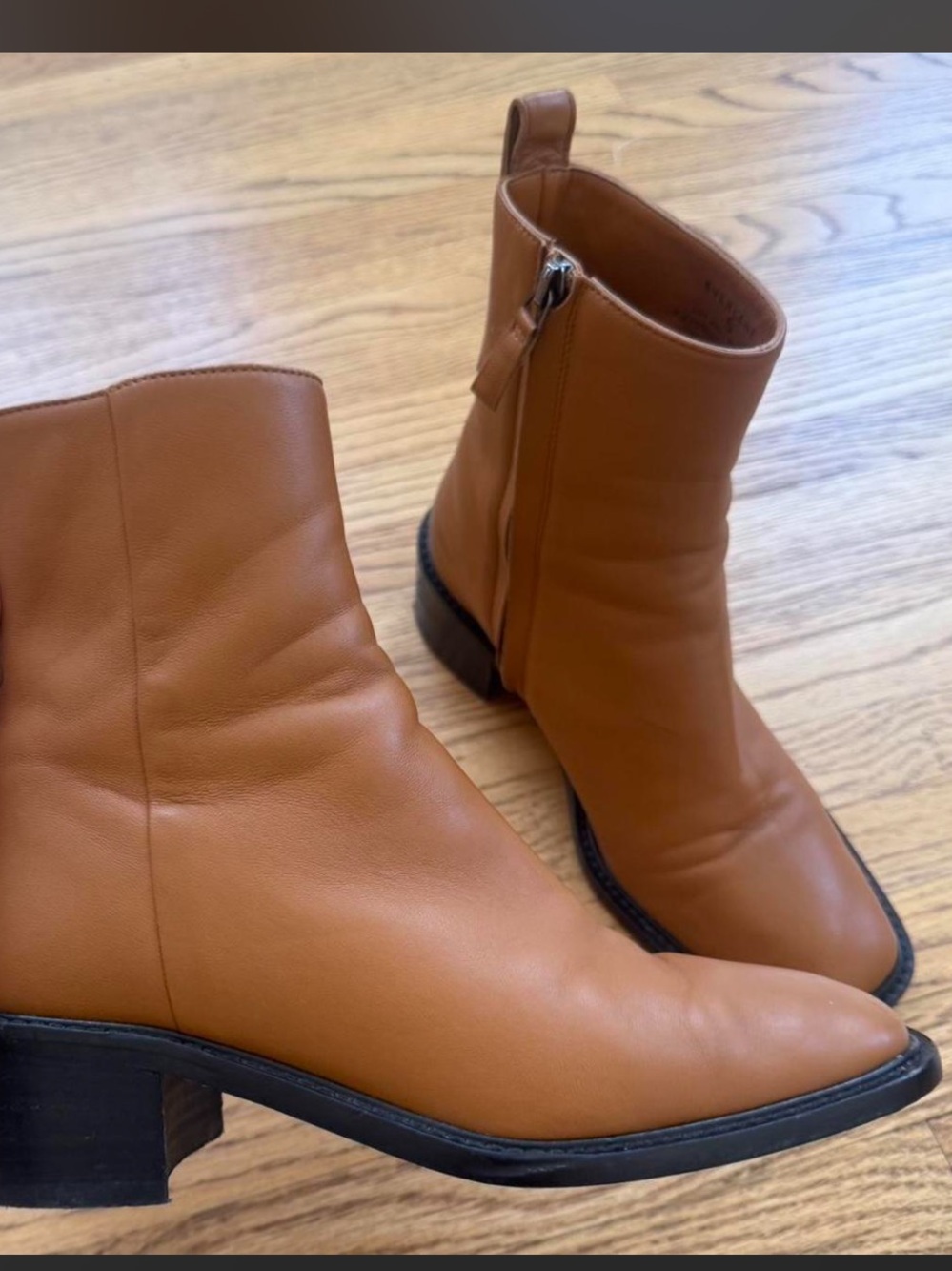 Everlane Italian Leather Ankle Booties